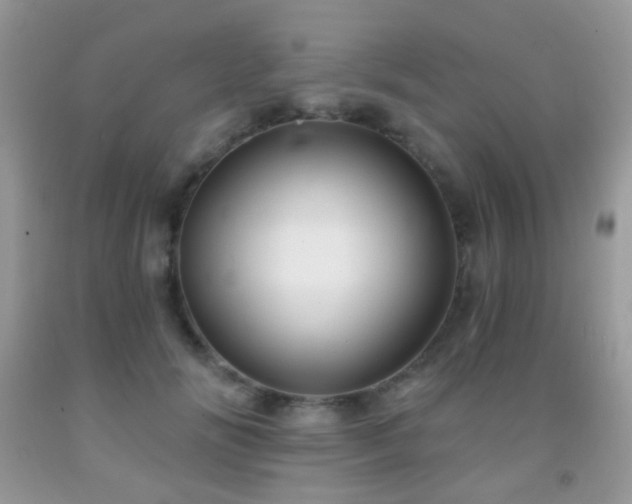 X0000091970702200709061332