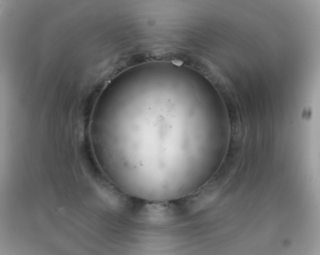X0000091970703200709061332