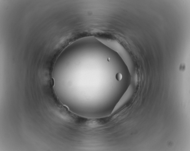 X0000091970704200709061332