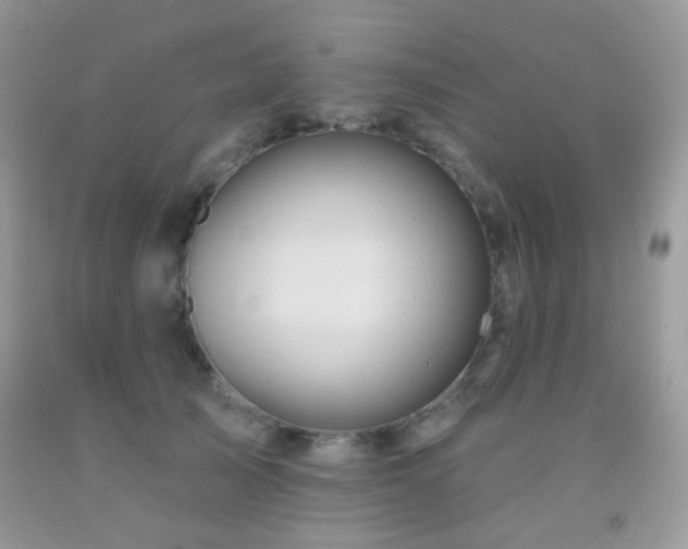 X0000091970705200709061332