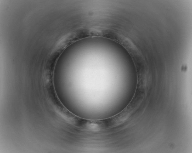 X0000091970706200709061332