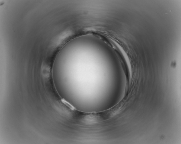 X0000091970708200709061332
