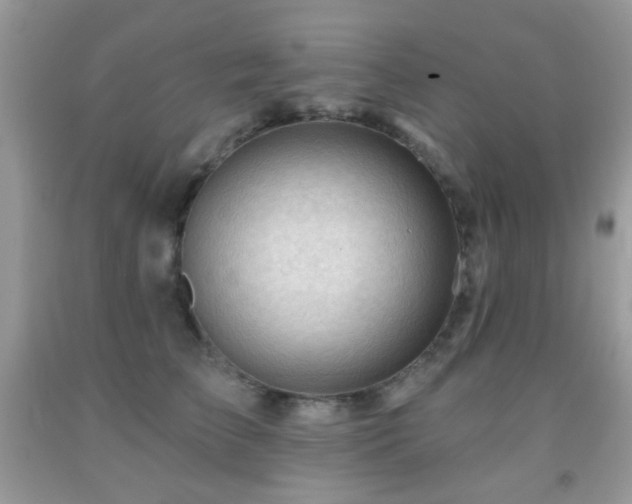 X0000091970709200709061332