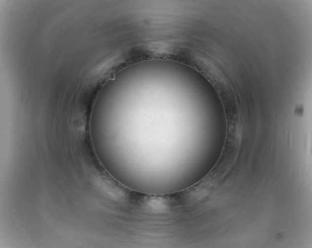 X0000091970710200709061332