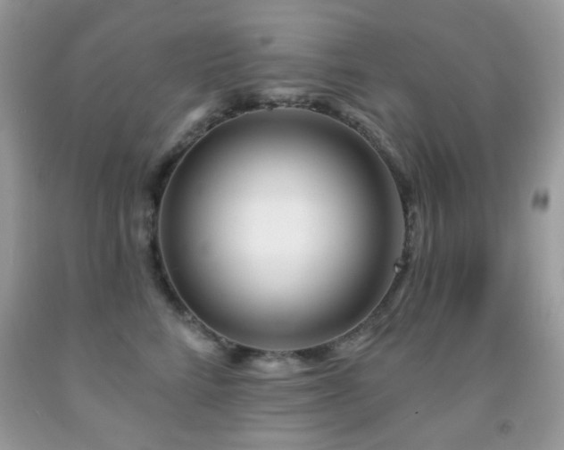 X0000091970712200709061332