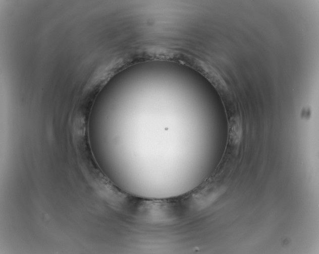 X0000091970713200709061332