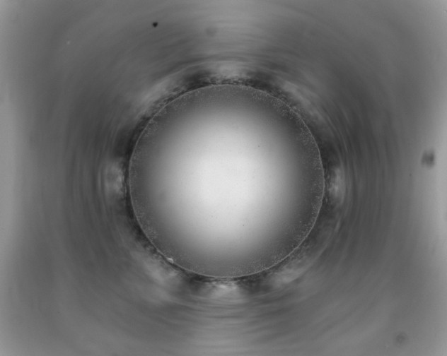 X0000091970715200709061332