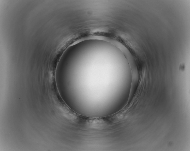 X0000091970716200709061332