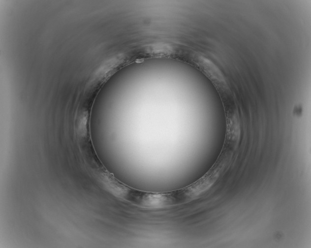 X0000091970717200709061332