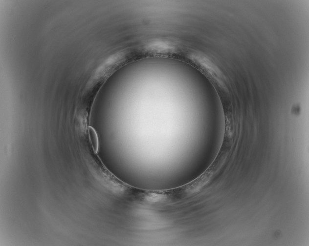 X0000091970718200709061332
