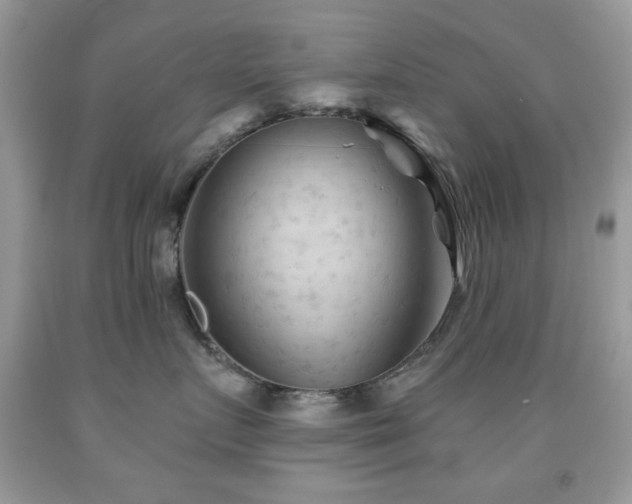 X0000091970719200709061332