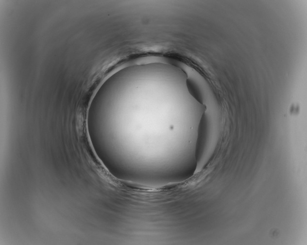 X0000091970720200709061332