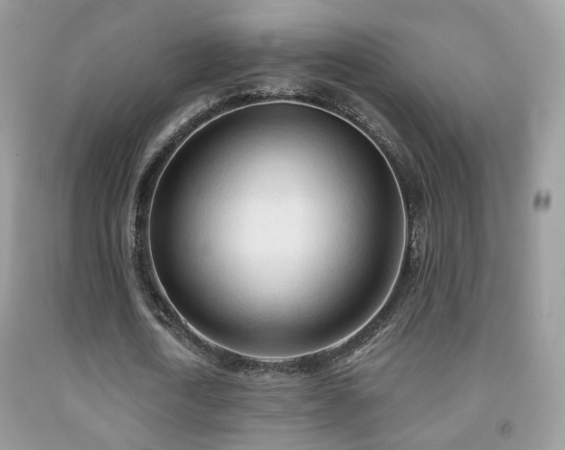 X0000091970722200709061331