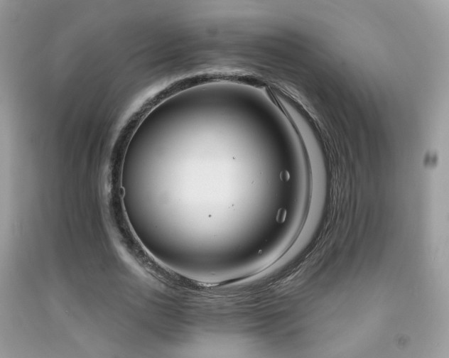 X0000091970726200709061331