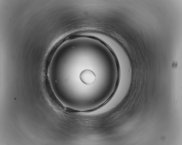X0000091970728200709061331