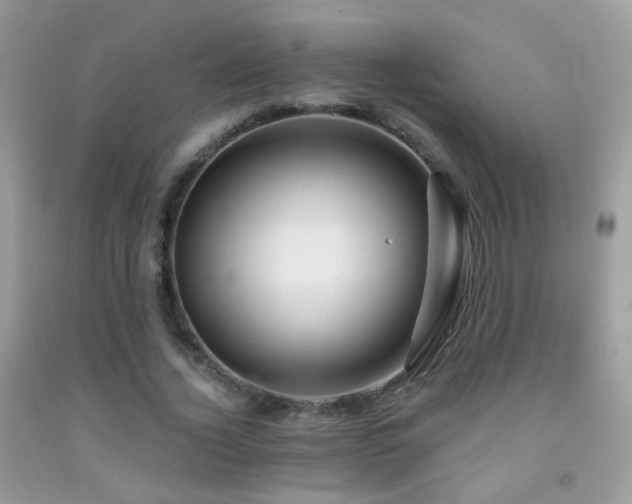 X0000091970732200709061331