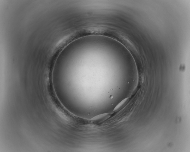 X0000091970733200709061331