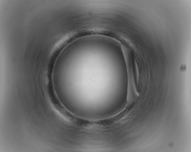 X0000091970734200709061331