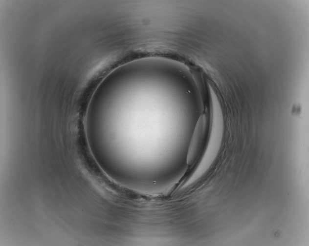 X0000091970735200709061331