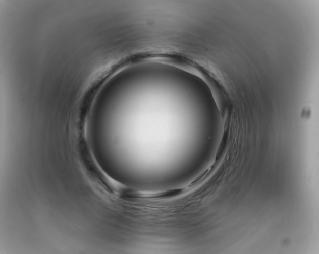 X0000091970736200709061331