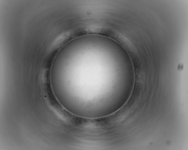 X0000091970738200709061331