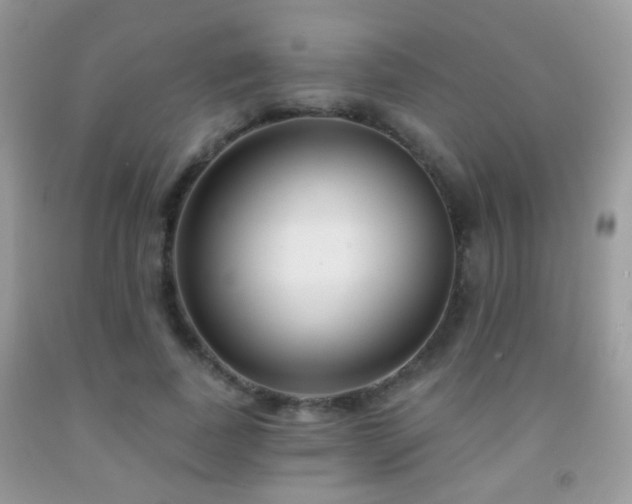 X0000091970739200709061331