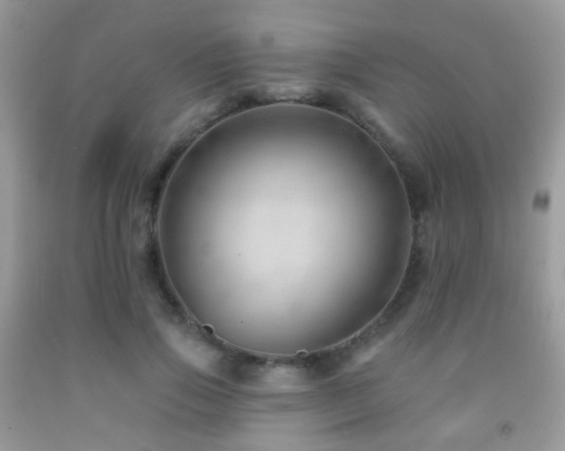 X0000091970741200709061331