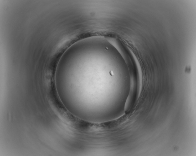 X0000091970742200709061331