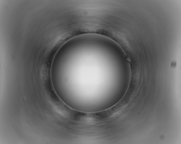 X0000091970743200709061331