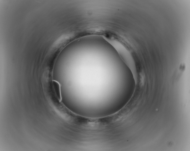 X0000091970744200709061331