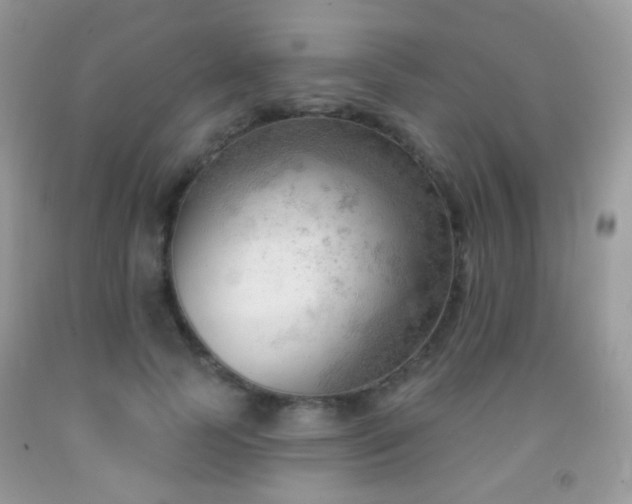 X0000091970745200709061331