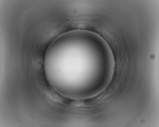 X0000091970747200709061331