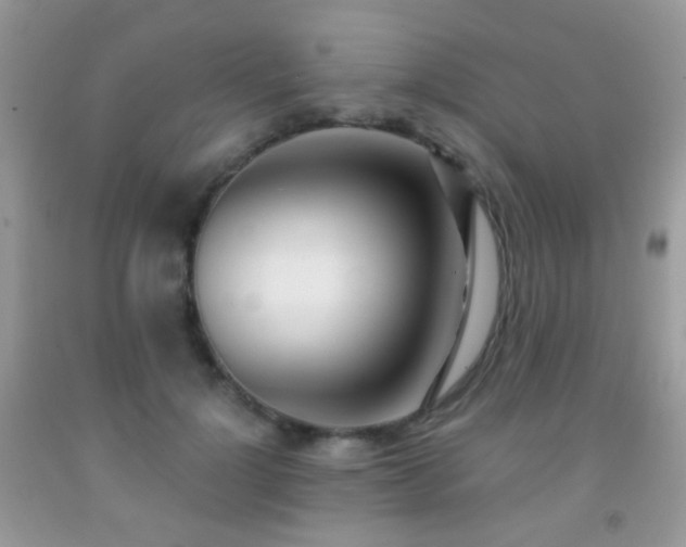 X0000091970748200709061331