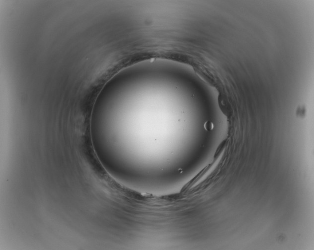 X0000091970750200709061331