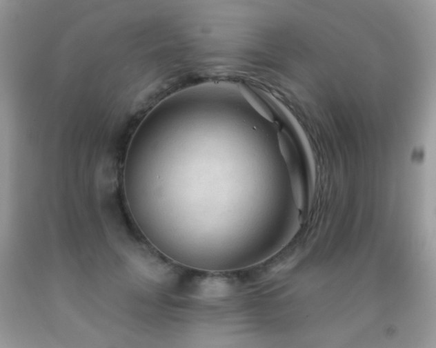 X0000091970751200709061331