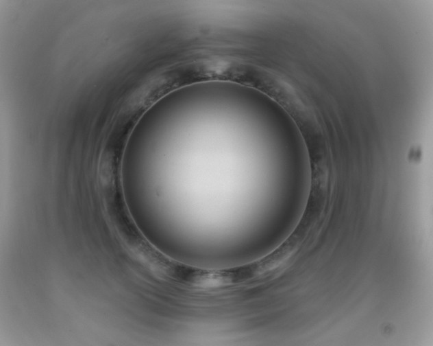 X0000091970754200709061331