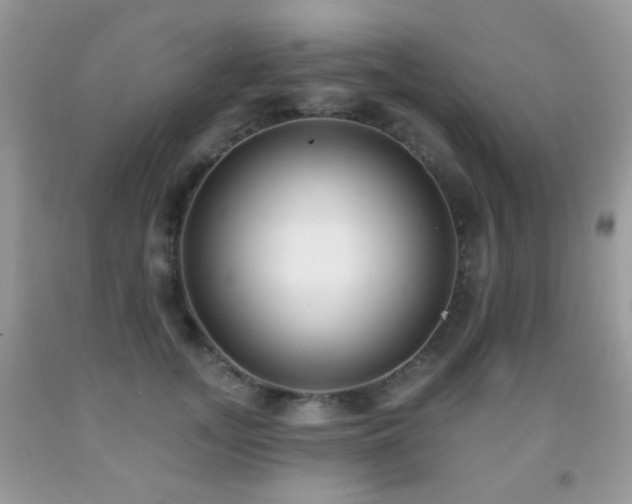 X0000091970755200709061331