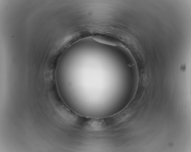 X0000091970756200709061332