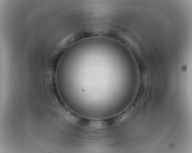 X0000091970757200709061332