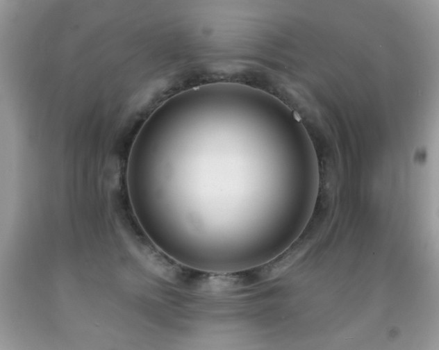 X0000091970758200709061332