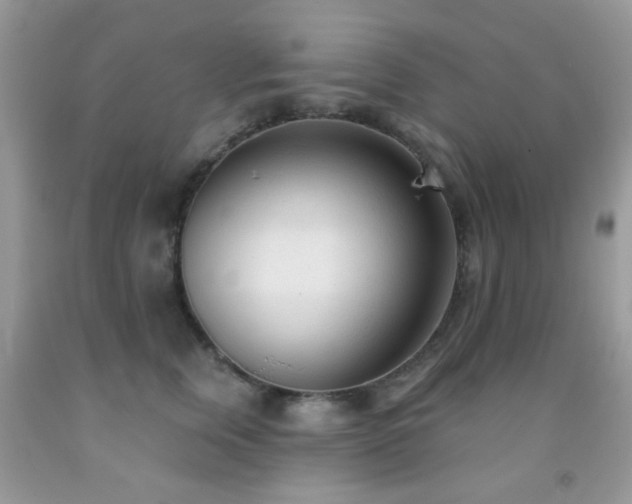 X0000091970759200709061332