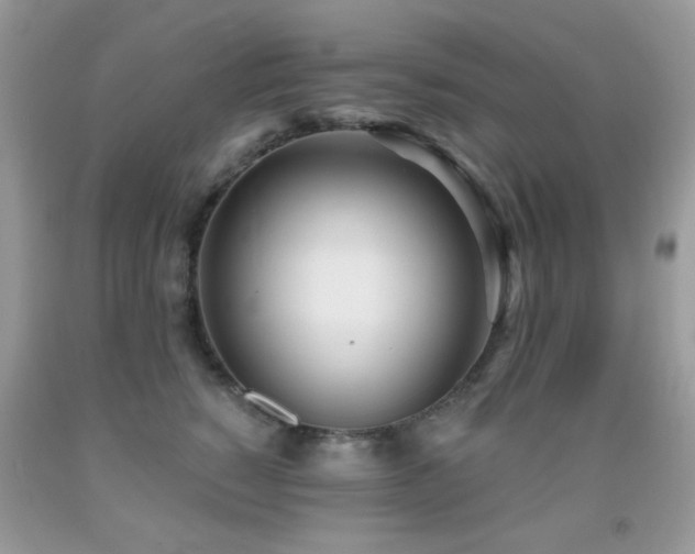 X0000091970760200709061332