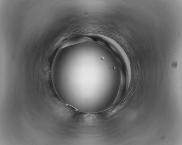 X0000091970762200709061332