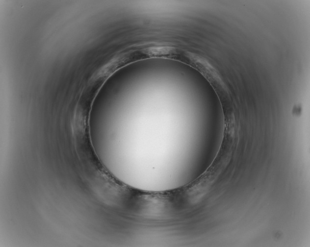 X0000091970763200709061332