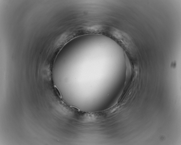 X0000091970764200709061332