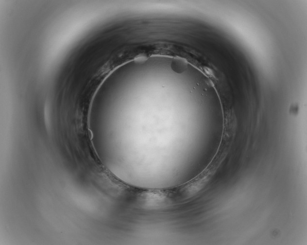 X0000091970765200709061332