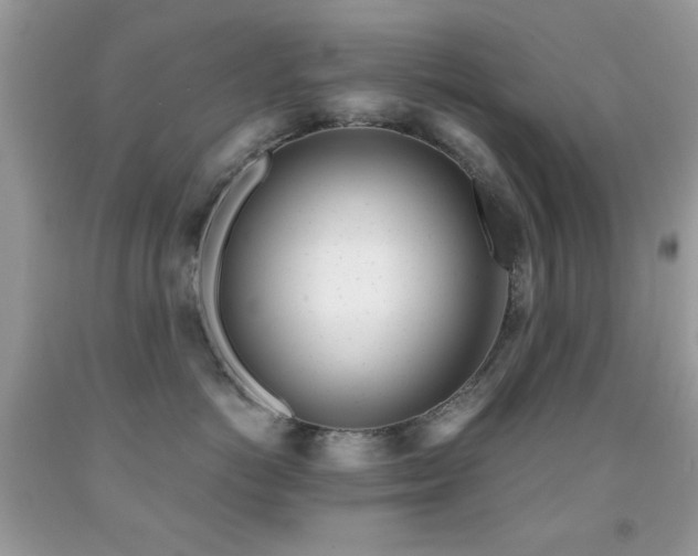 X0000091970766200709061332
