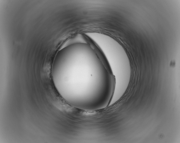 X0000091970767200709061332