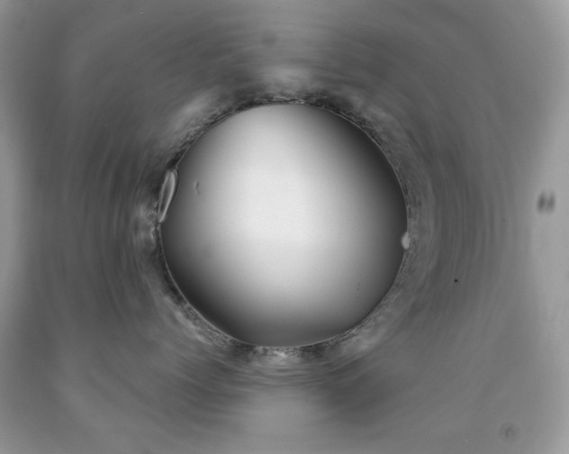 X0000091970768200709061332