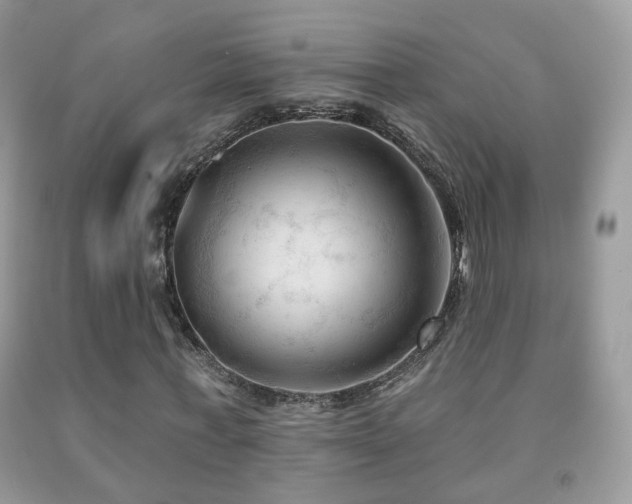 X0000091970771200709061331